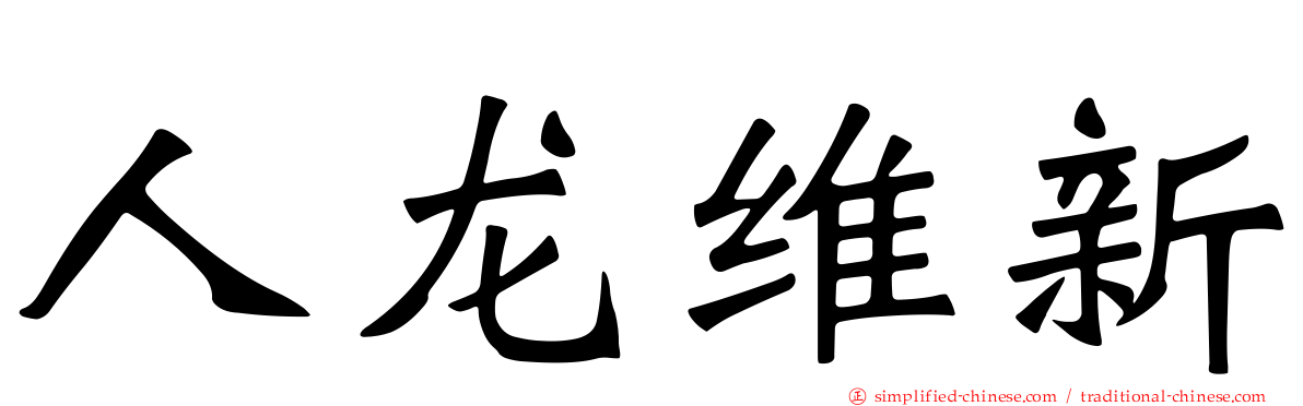 人龙维新