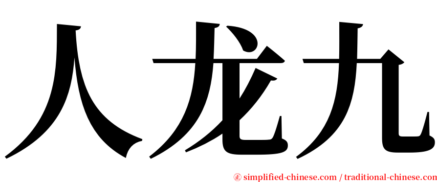 人龙九 serif font