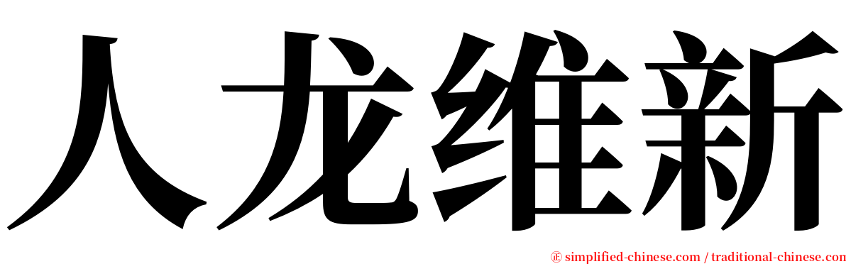 人龙维新 serif font