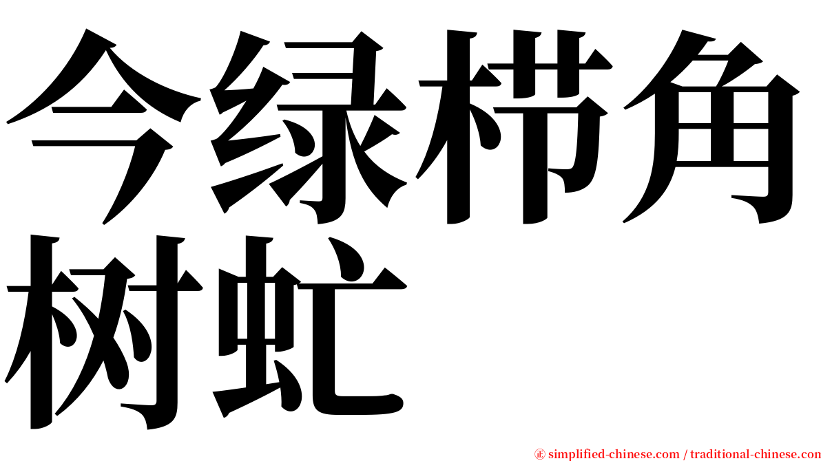 今绿栉角树虻 serif font