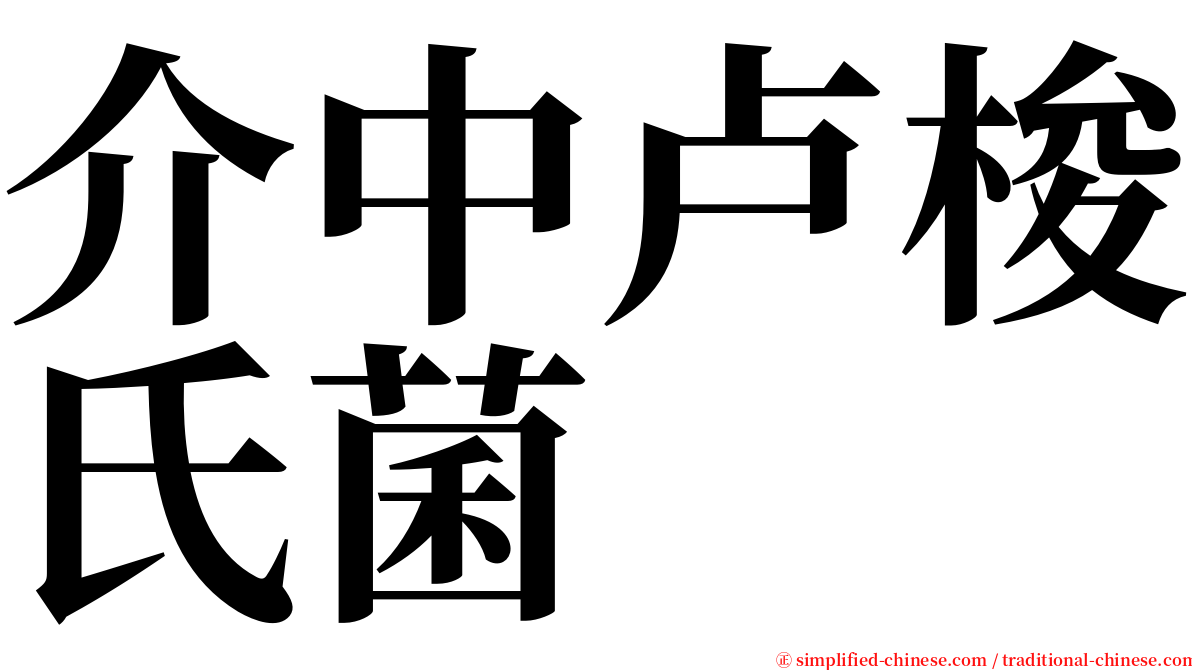 介中卢梭氏菌 serif font