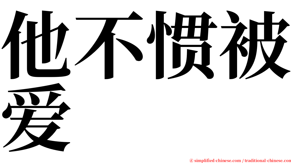 他不惯被爱 serif font