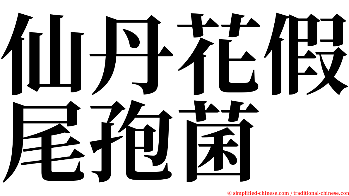 仙丹花假尾孢菌 serif font