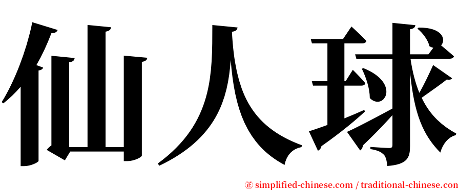 仙人球 serif font
