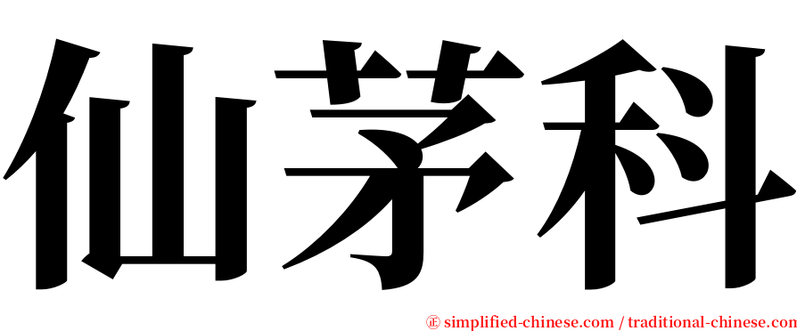 仙茅科 serif font