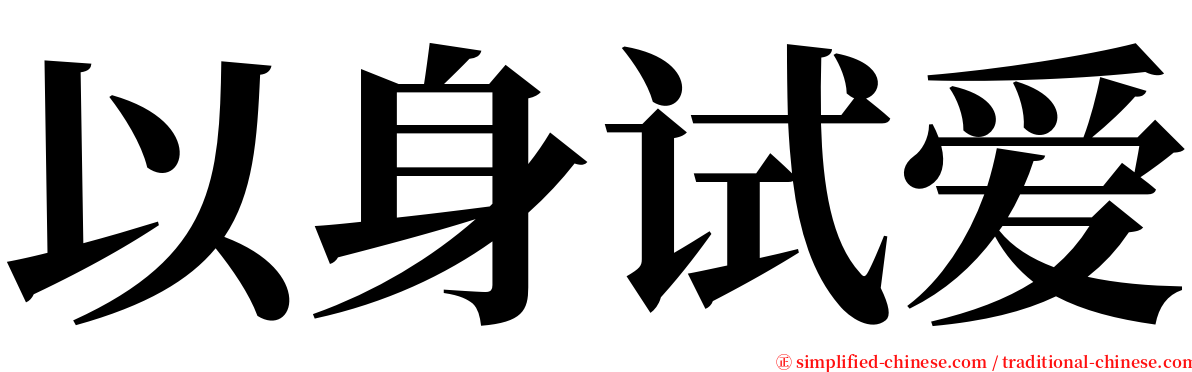 以身试爱 serif font