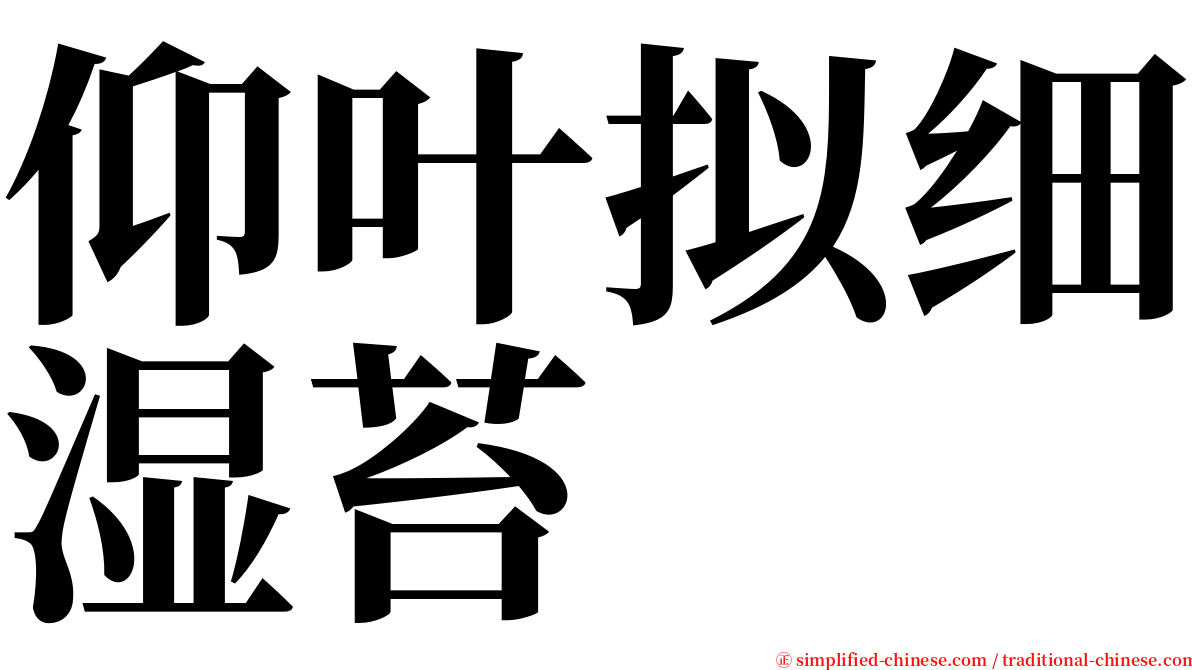 仰叶拟细湿苔 serif font