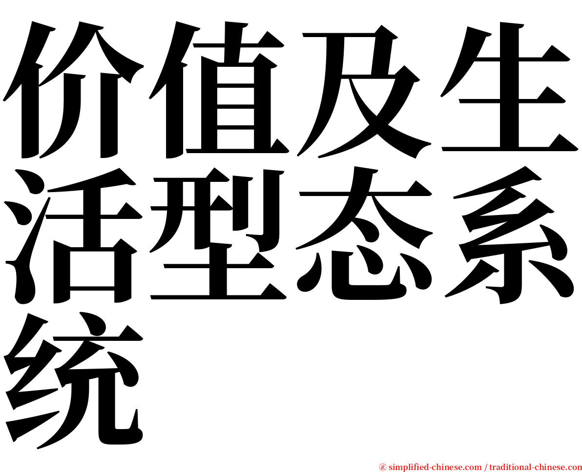 价值及生活型态系统 serif font