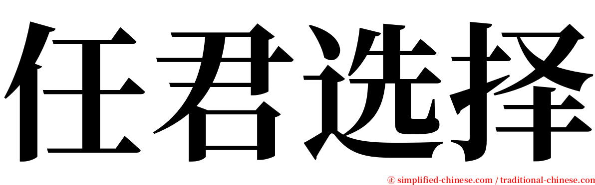 任君选择 serif font