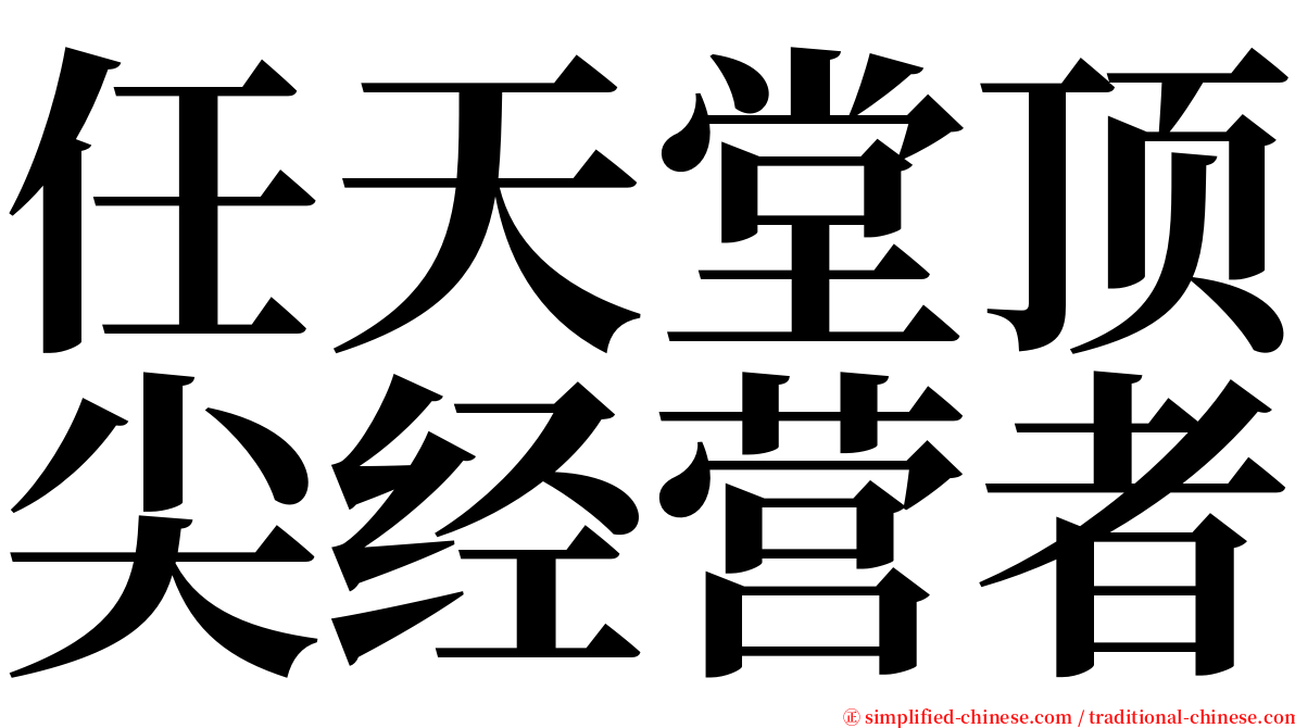 任天堂顶尖经营者 serif font