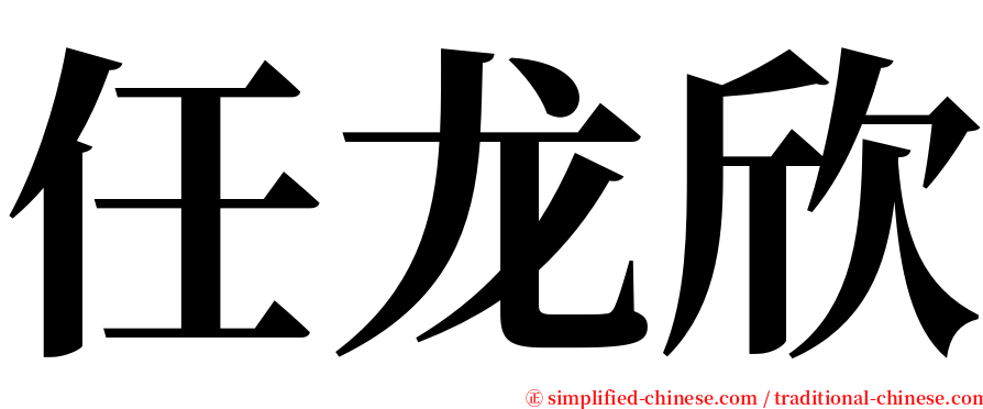 任龙欣 serif font