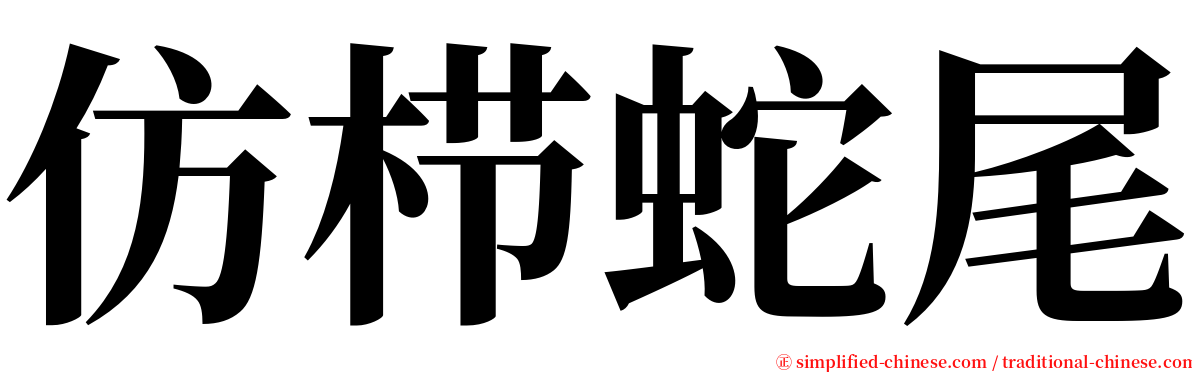 仿栉蛇尾 serif font