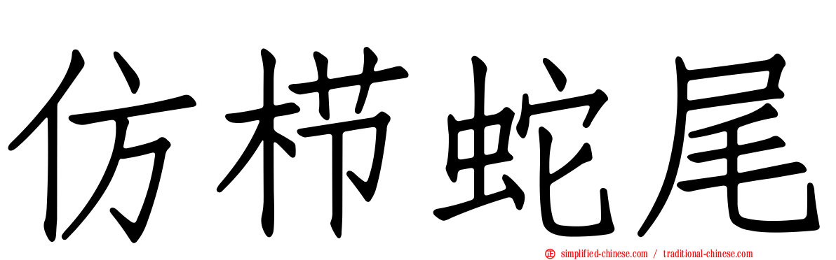 仿栉蛇尾