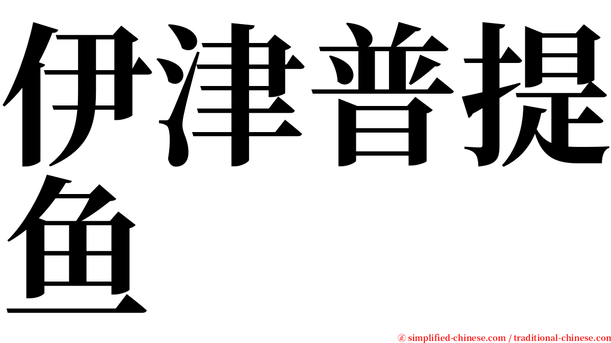 伊津普提鱼 serif font