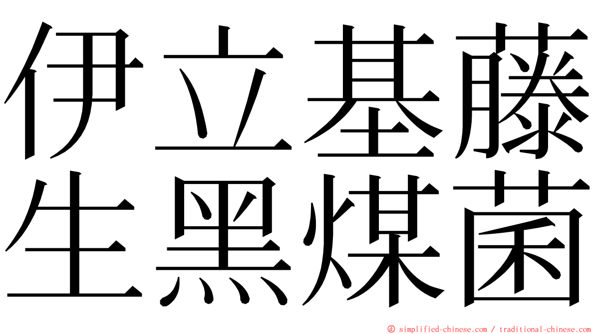 伊立基藤生黑煤菌 ming font