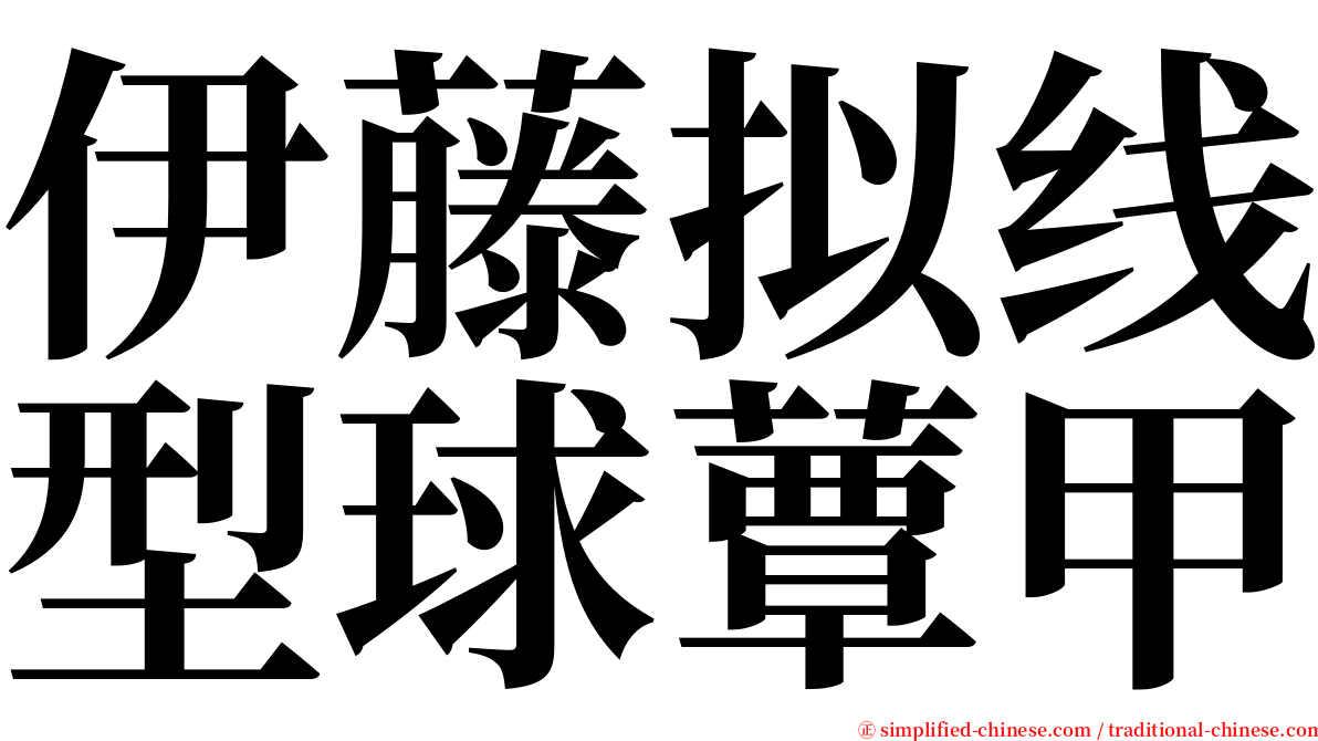 伊藤拟线型球蕈甲 serif font