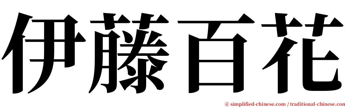 伊藤百花 serif font