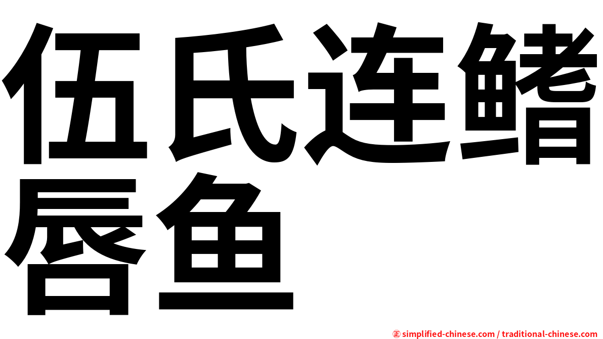 伍氏连鳍唇鱼