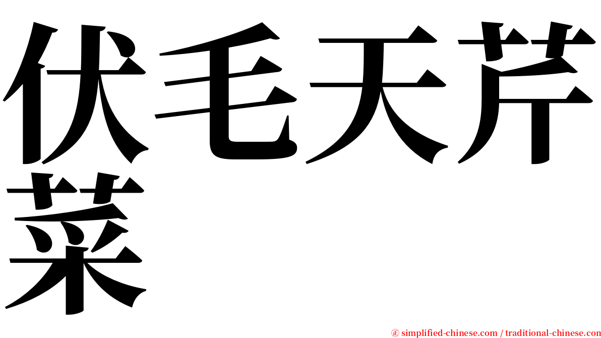 伏毛天芹菜 serif font