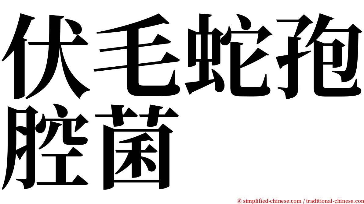 伏毛蛇孢腔菌 serif font