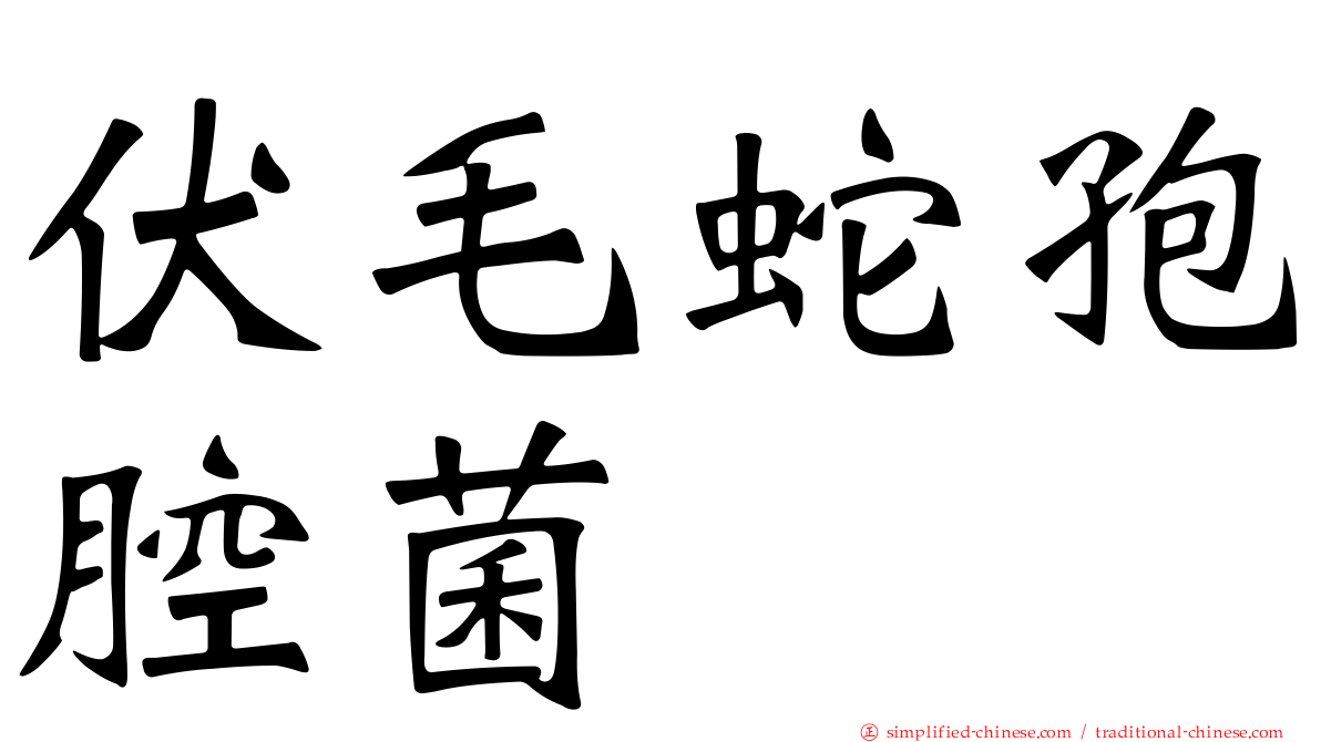 伏毛蛇孢腔菌