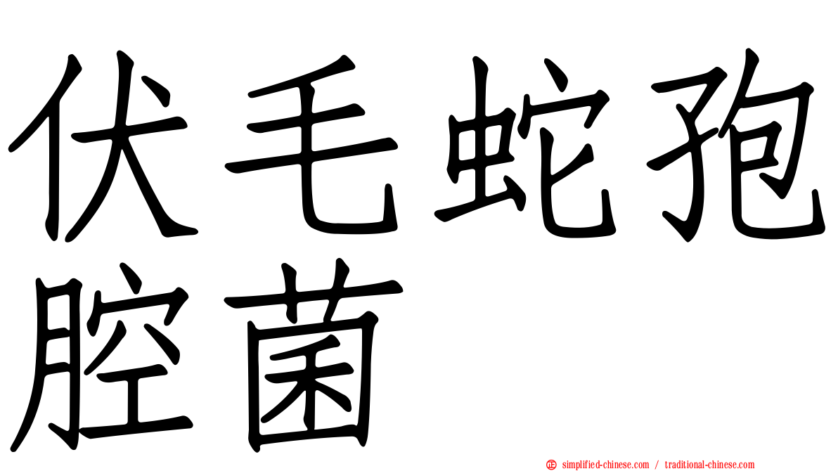 伏毛蛇孢腔菌