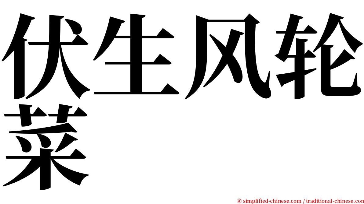 伏生风轮菜 serif font