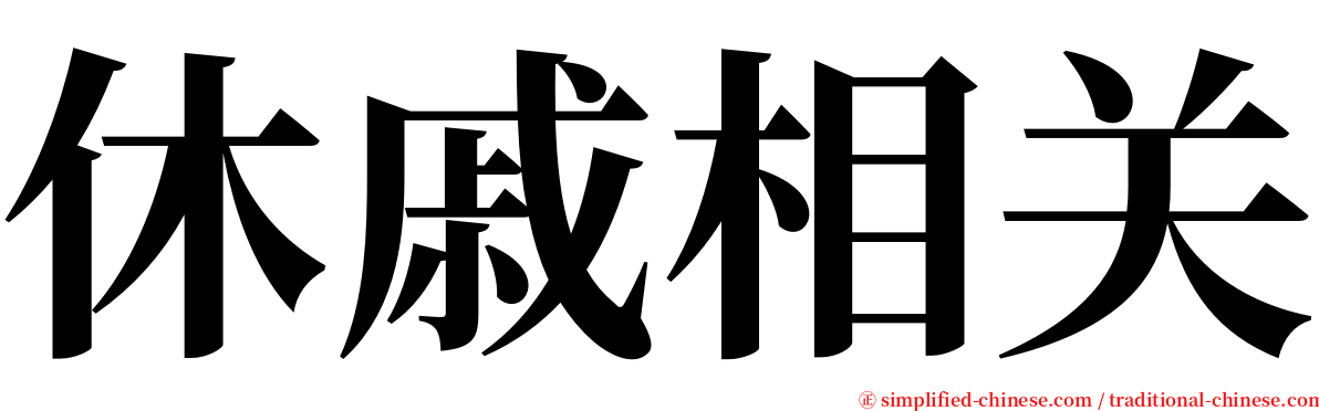 休戚相关 serif font