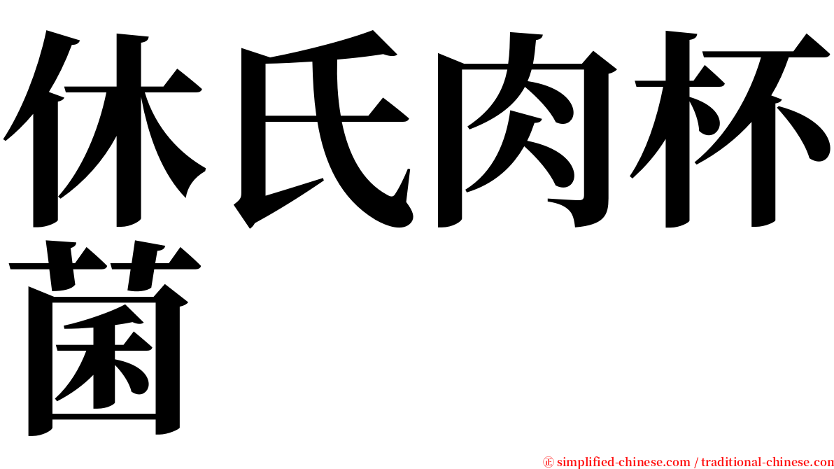 休氏肉杯菌 serif font