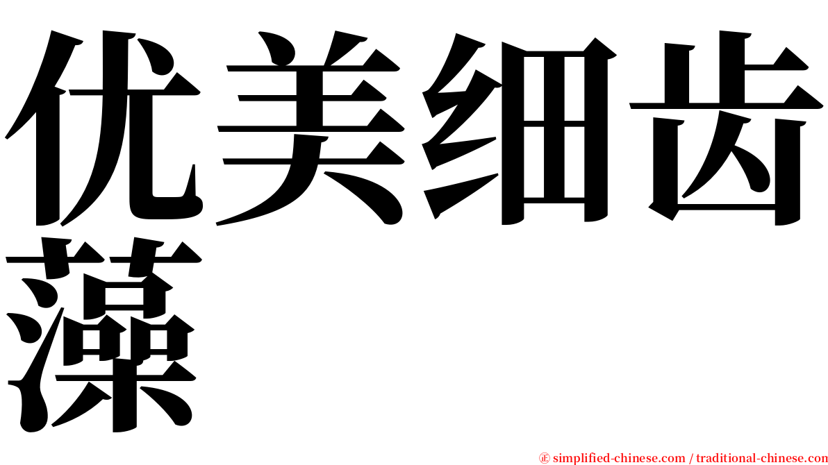 优美细齿藻 serif font