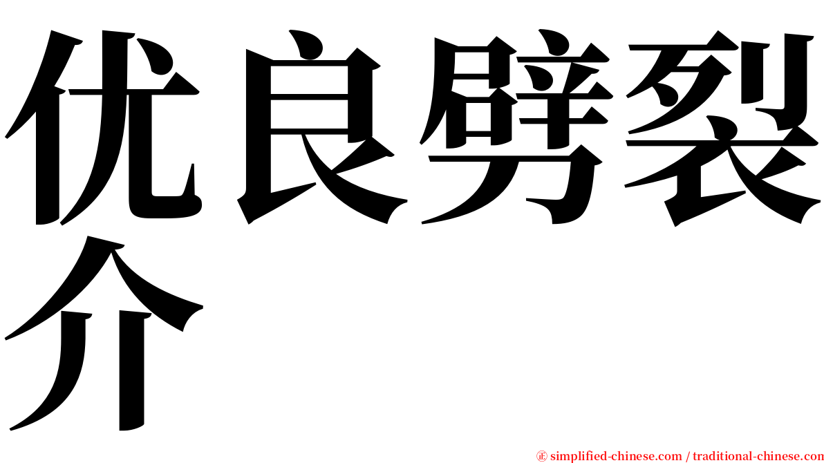 优良劈裂介 serif font