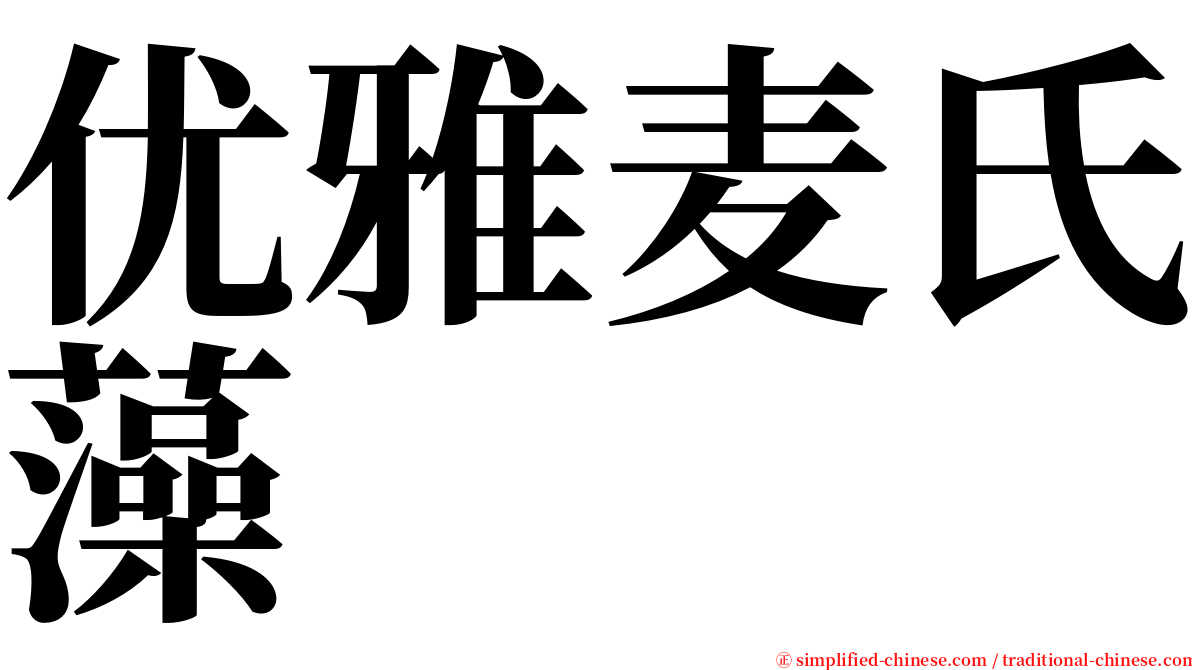 优雅麦氏藻 serif font