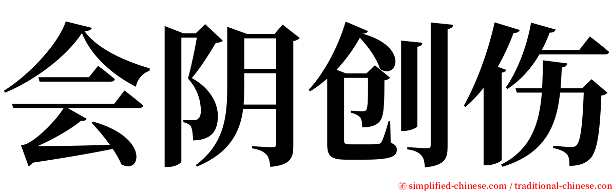 会阴创伤 serif font