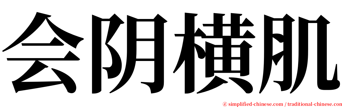 会阴横肌 serif font