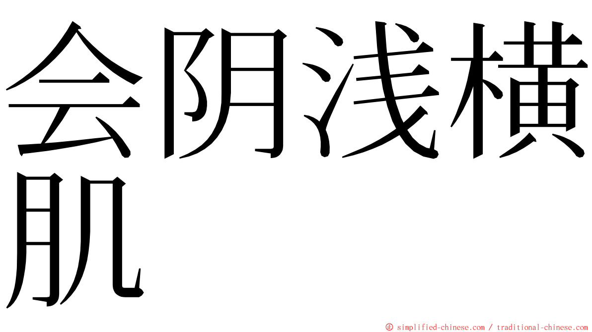 会阴浅横肌 ming font