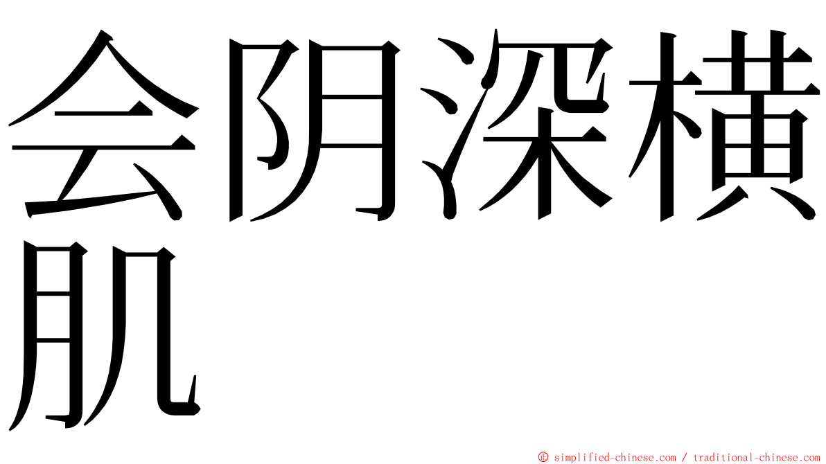 会阴深横肌 ming font