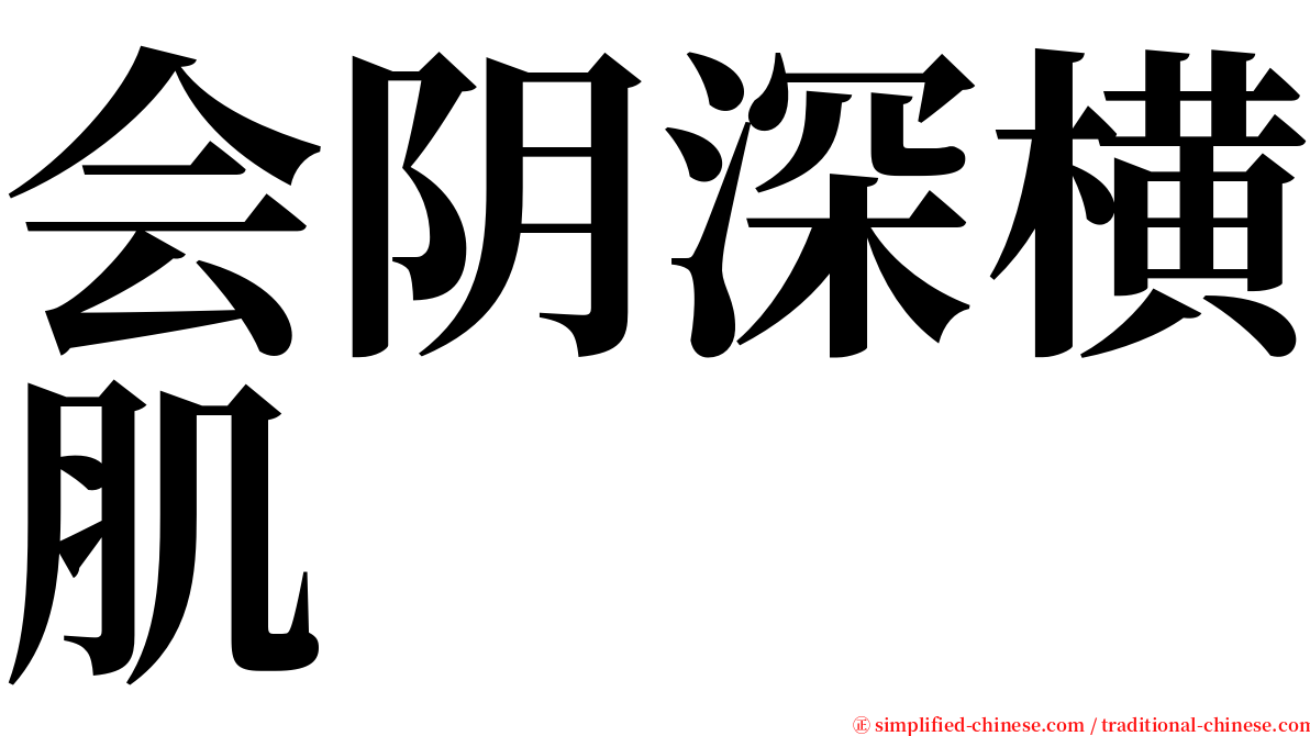 会阴深横肌 serif font