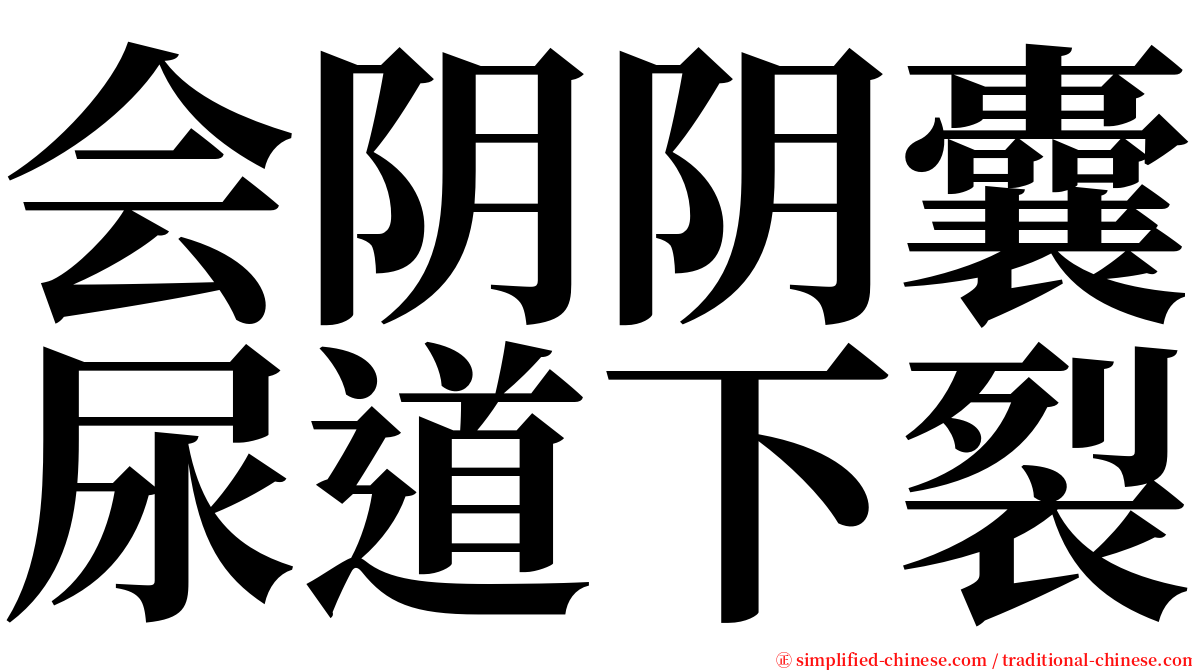 会阴阴囊尿道下裂 serif font