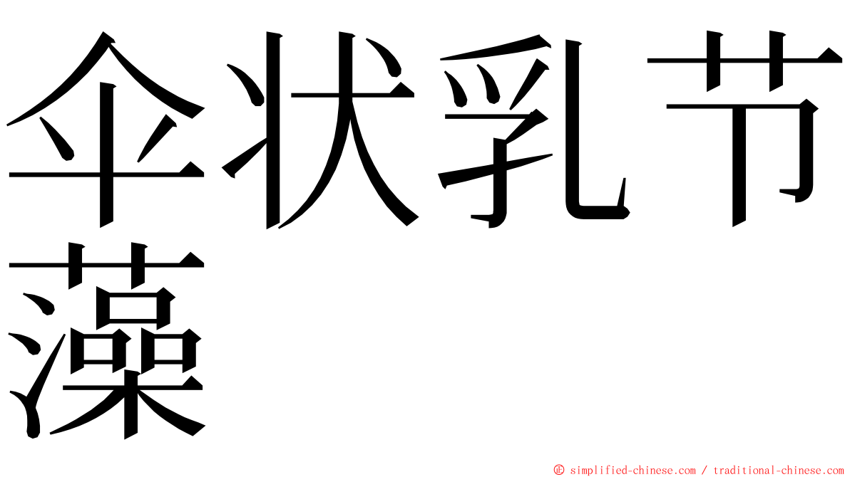 伞状乳节藻 ming font