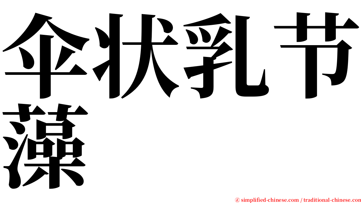 伞状乳节藻 serif font