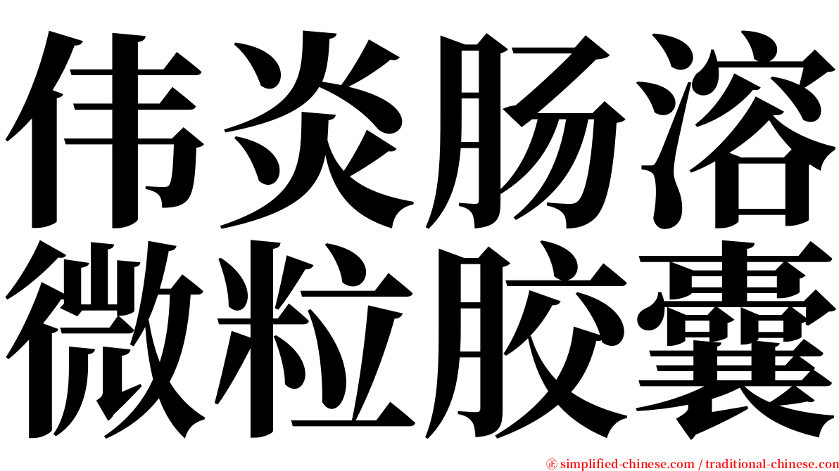 伟炎肠溶微粒胶囊 serif font