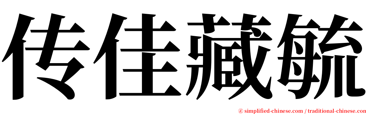 传佳藏毓 serif font