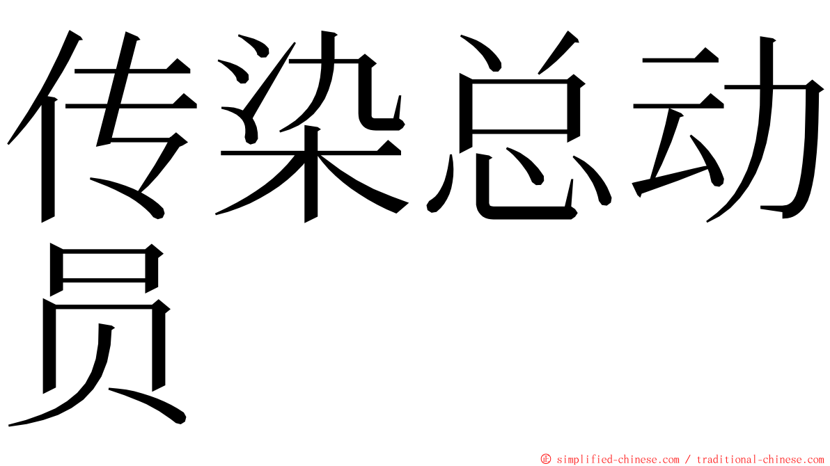 传染总动员 ming font