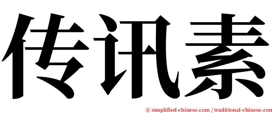 传讯素 serif font