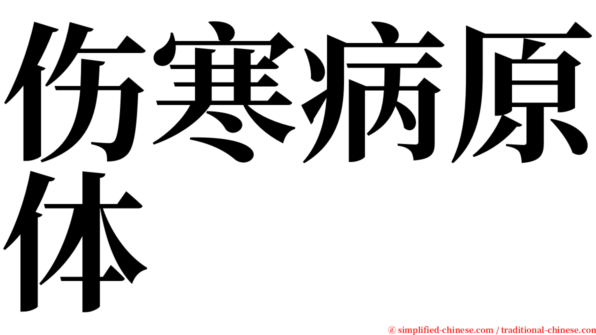 伤寒病原体 serif font
