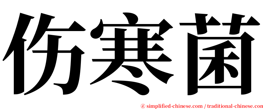 伤寒菌 serif font