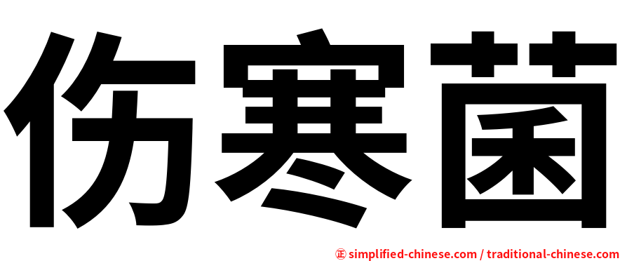 伤寒菌