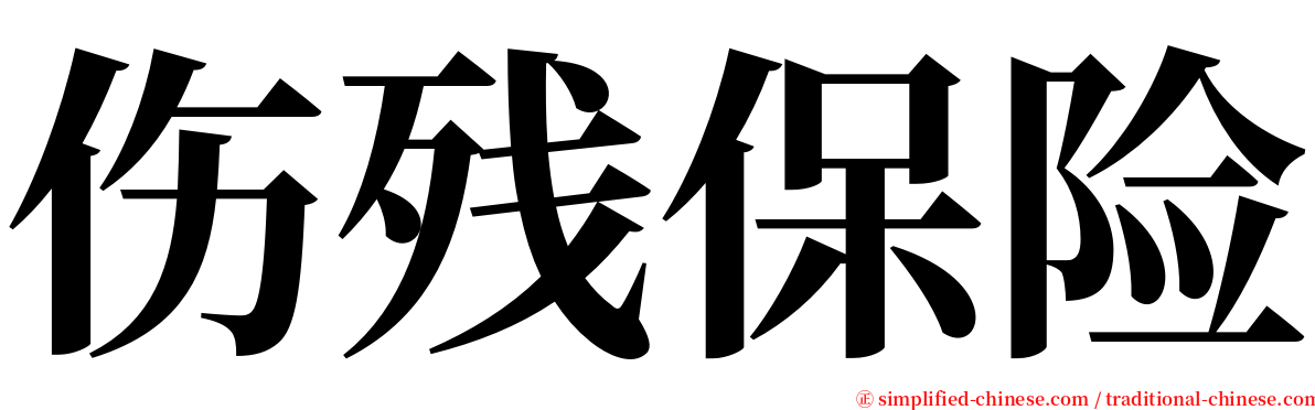 伤残保险 serif font