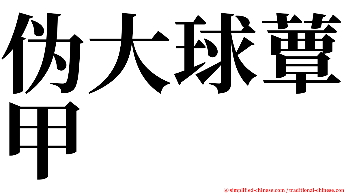 伪大球蕈甲 serif font