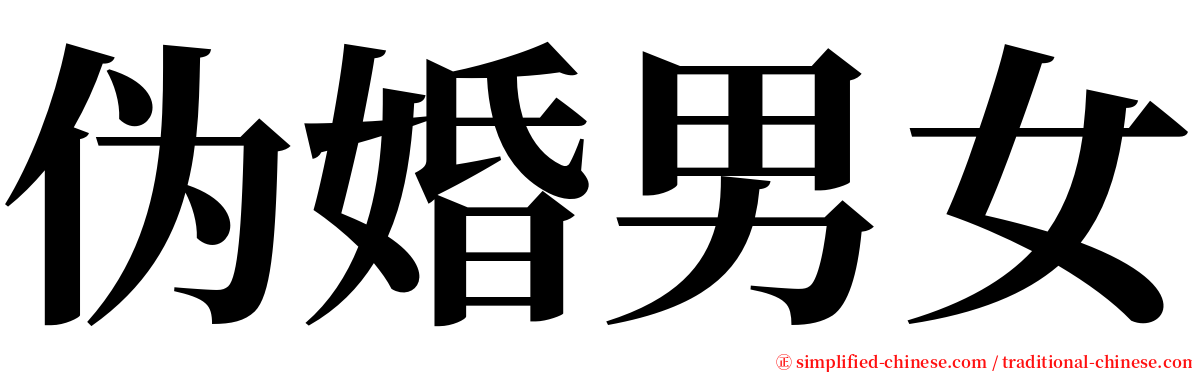 伪婚男女 serif font